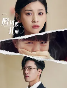 晚风吹北城封面图