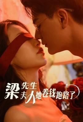 梁先生夫人她卷钱跑路了封面图