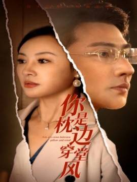 你是枕边穿堂风封面图