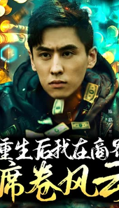 重生后我在商界席卷风云封面图