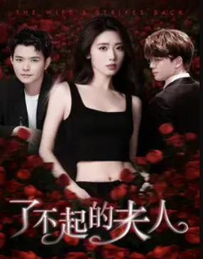 了不起的夫人封面图