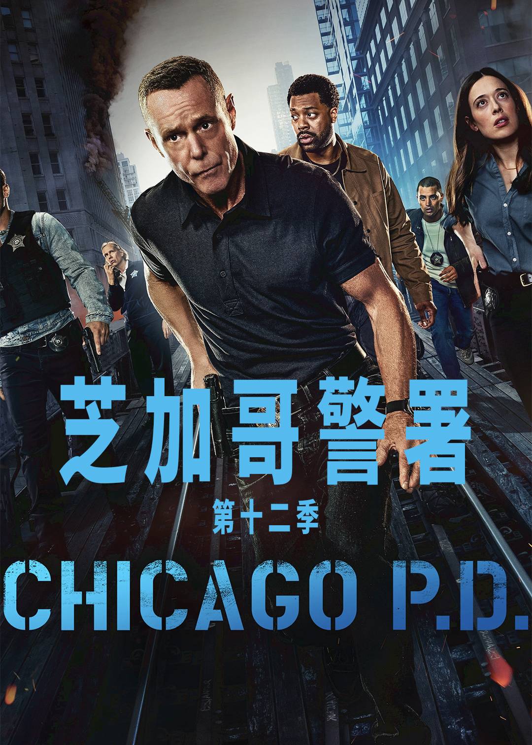 芝加哥警署第十二季封面图