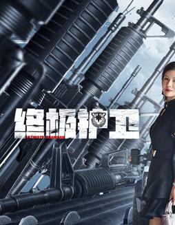 终极护卫封面图