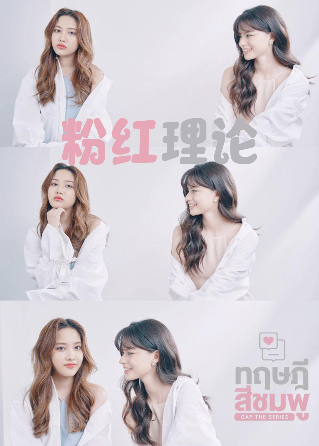 粉红理论封面图