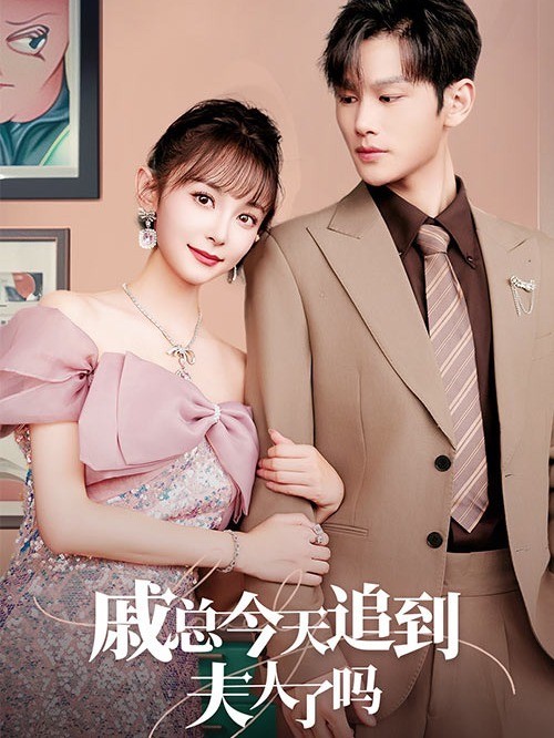 戚总今天追到夫人了吗封面图