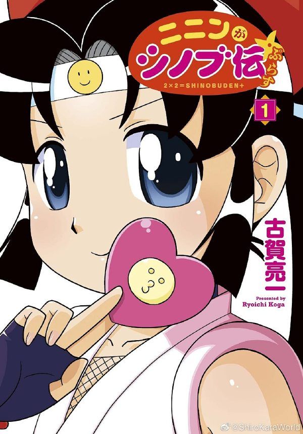 酷伊忍者传封面图