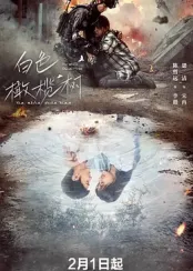 白色橄榄树封面图