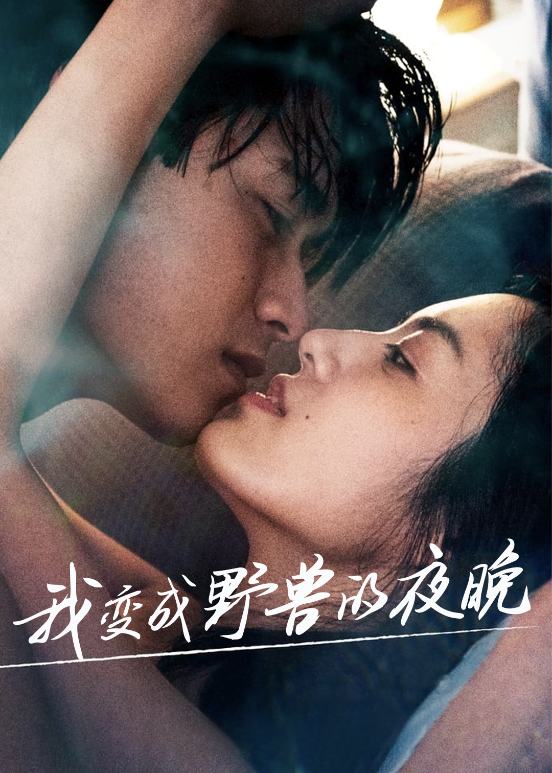 我变成野兽的夜晚封面图