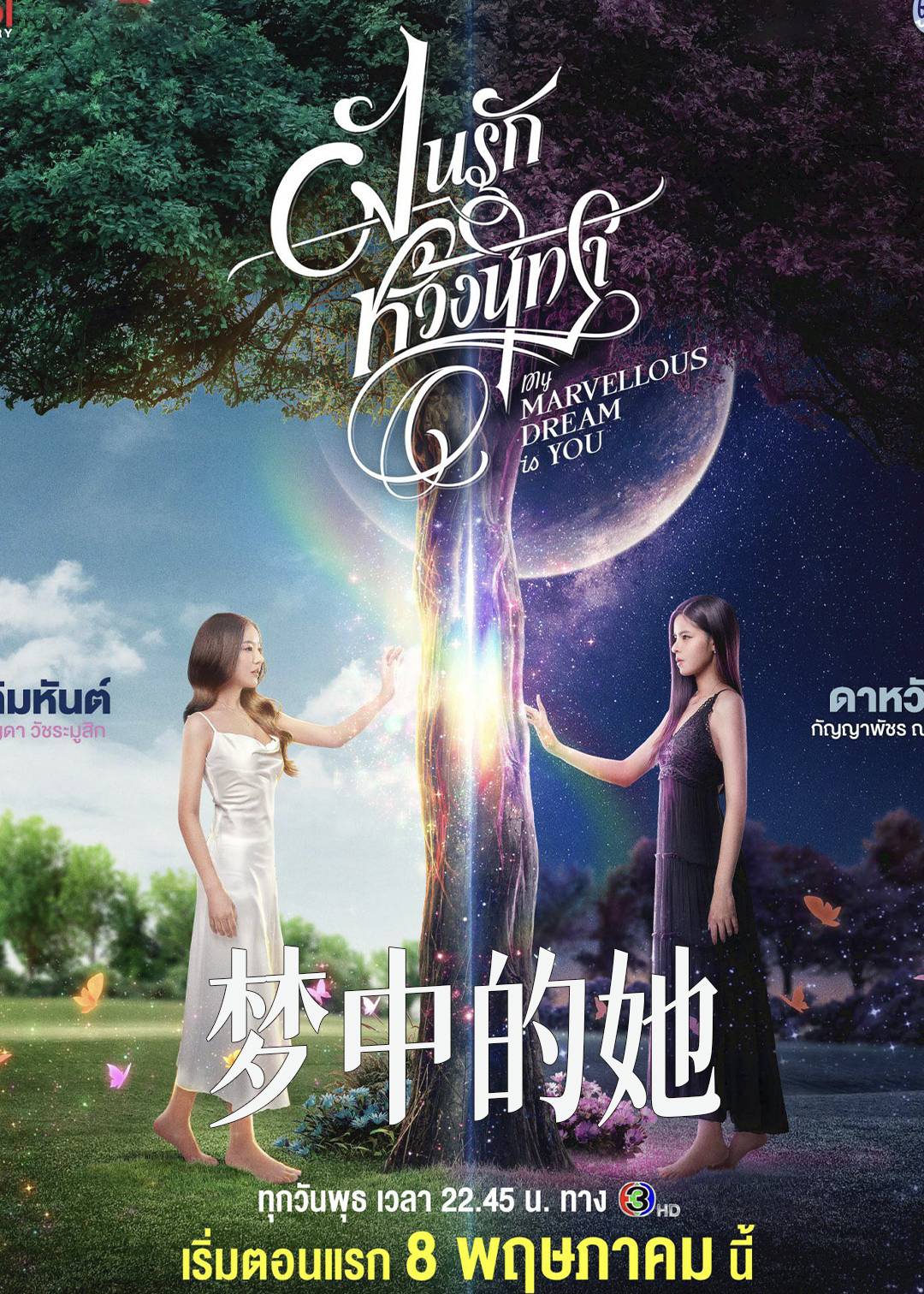 梦中的她封面图