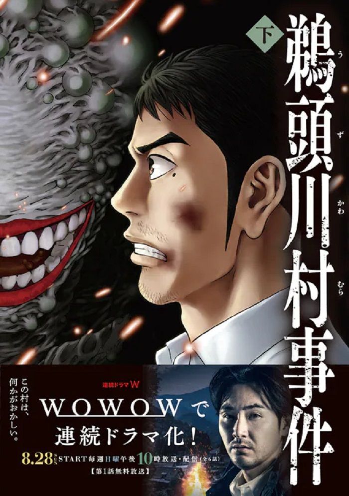 鹈头川村事件封面图