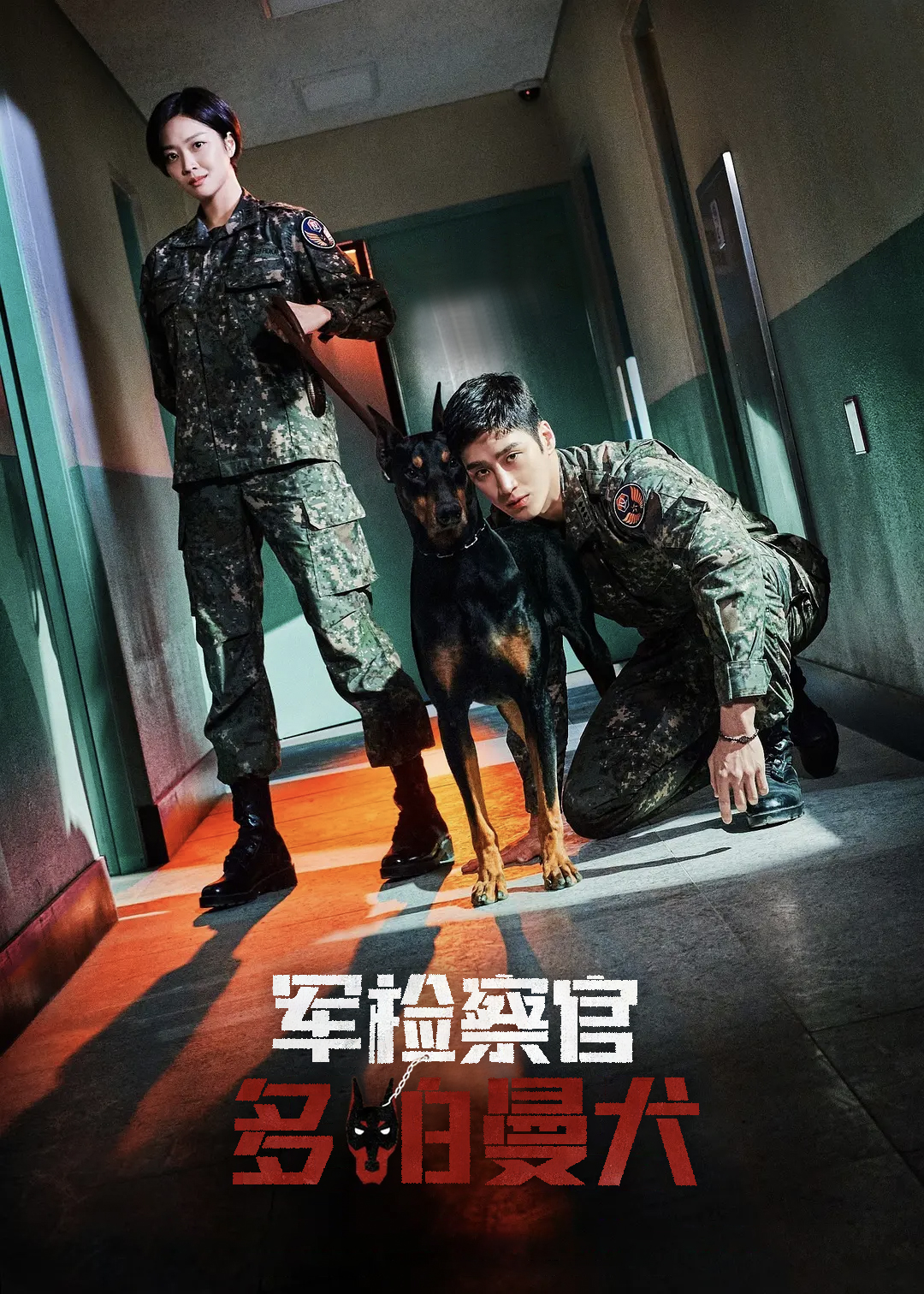 军检察官多伯曼犬封面图