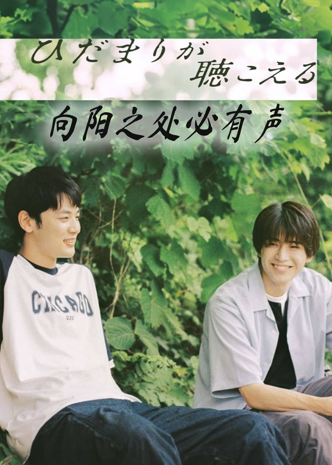 向阳之处必有声封面图