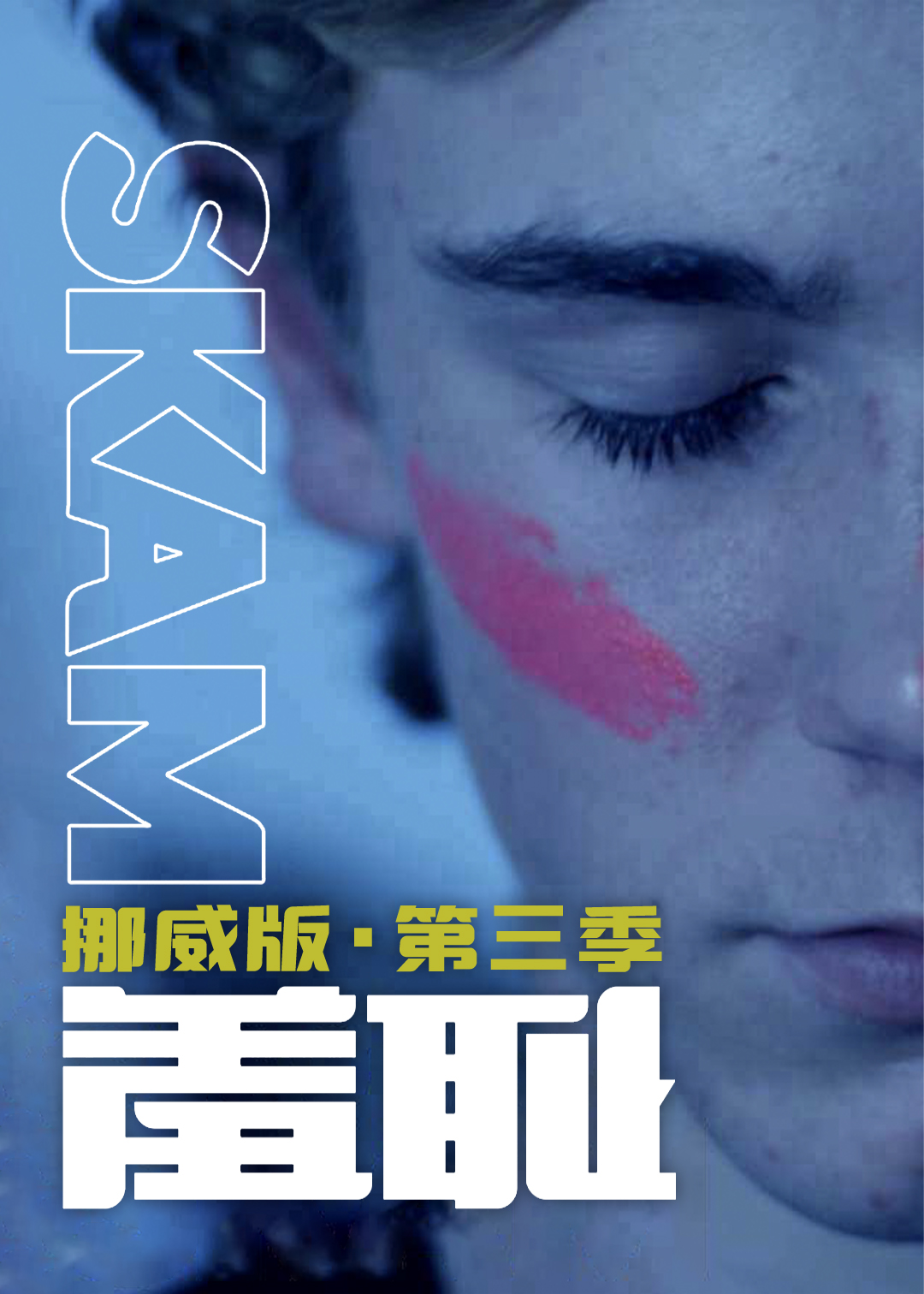 羞耻挪威版第三季封面图