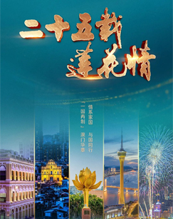 二十五载莲花情封面图