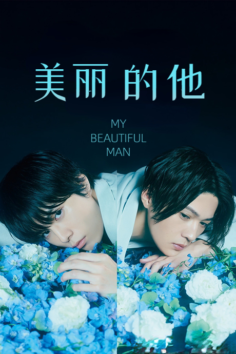 美丽的他封面图