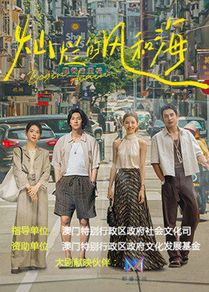 灿烂的风和海封面图