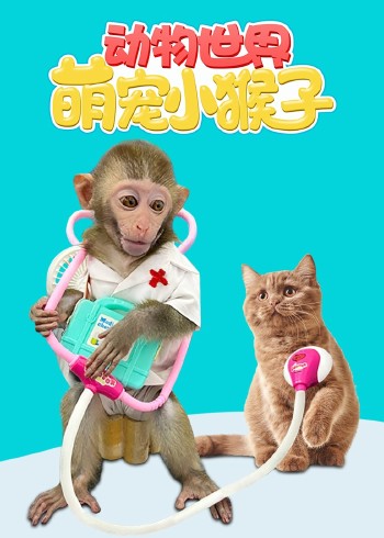 动物世界之萌宠小猴子封面图