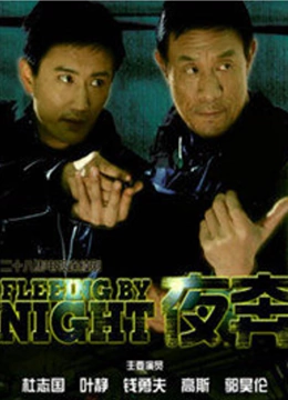 夜奔封面图