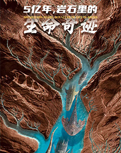 5亿年，岩石里的生命奇迹（第一季）封面图