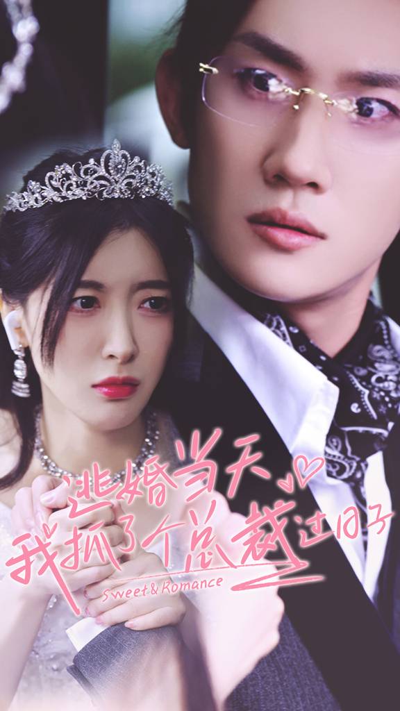 逃婚当天我抓了个总裁过日子封面图