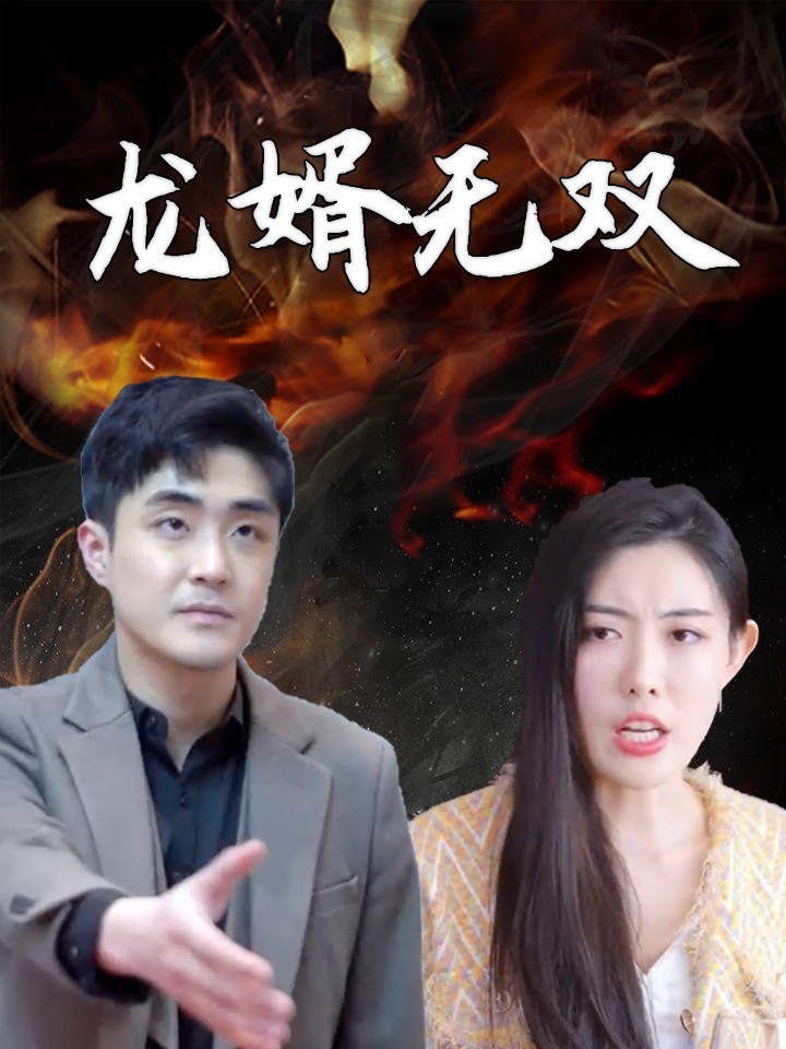 龙婿无双封面图