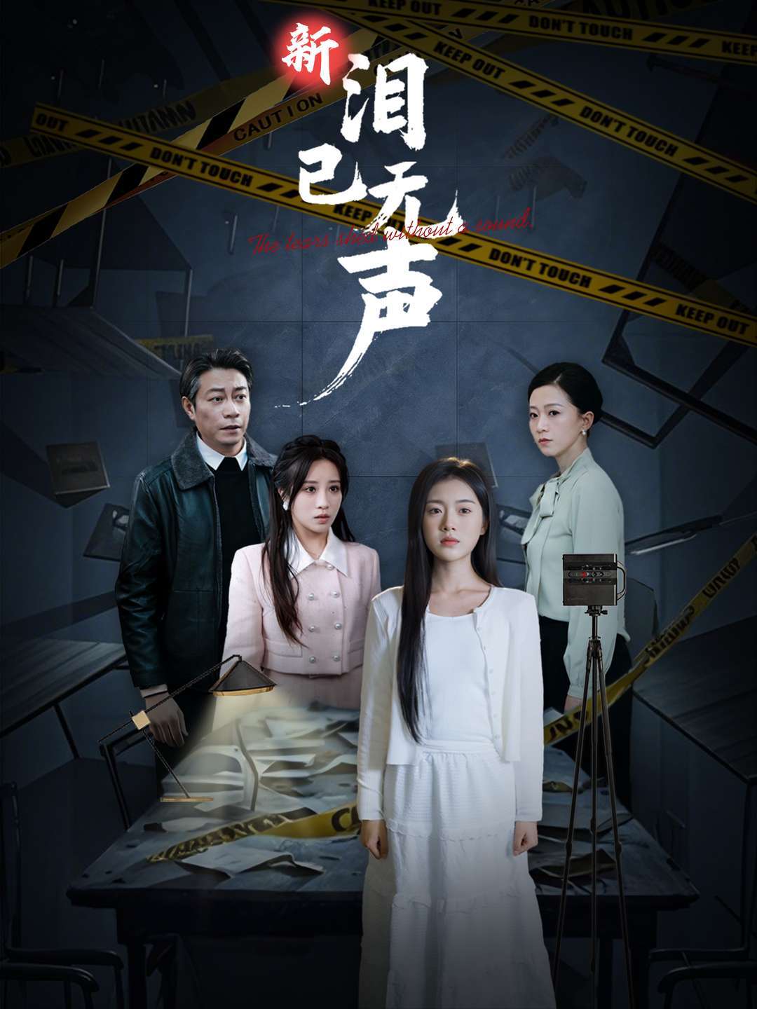 新泪已无声封面图