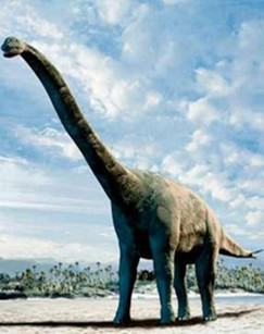 恐龙革命（精编版）封面图