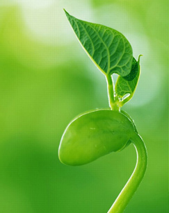 生命的奇迹（纪录片）封面图