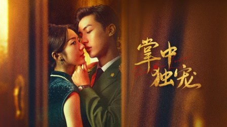 掌中独宠封面图