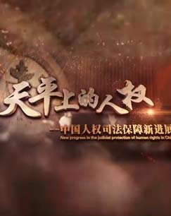 天平上的人权——中国人权司法保障新进展封面图