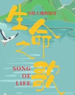 生命之歌封面图