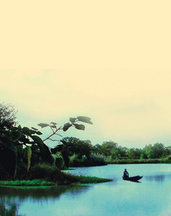 纪录片红线封面图