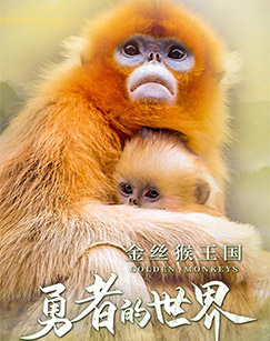 金丝猴王国：勇者的世界封面图