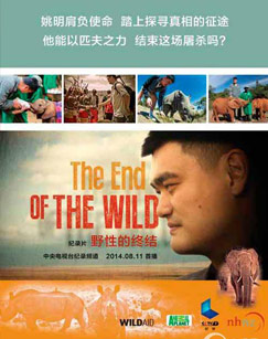 野性的终结封面图