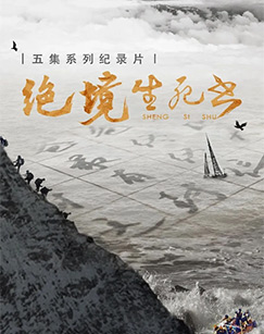 绝境生死书封面图