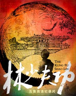 功夫少林封面图