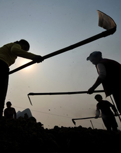 白风明的种田梦封面图