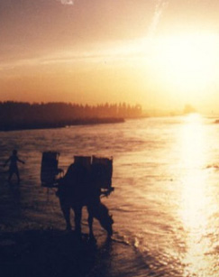 纪录频道消失的古国-伊犁河畔封面图