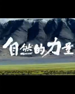 自然的力量精编版封面图