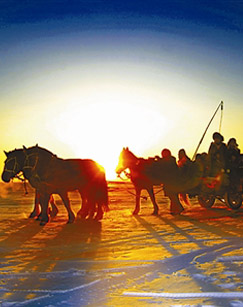 拯救查干淖尔封面图