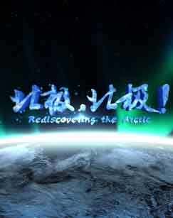 北极，北极！封面图