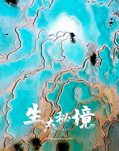 生态秘境封面图