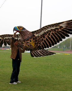 风的约会封面图