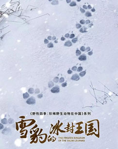 雪豹的冰封王国封面图