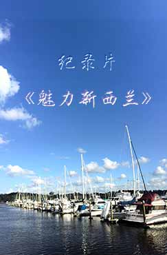 魅力新西兰封面图