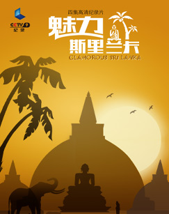 魅力斯里兰卡封面图