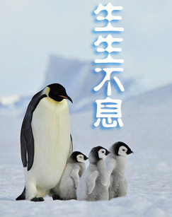 生生不息封面图