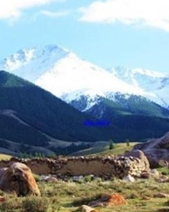 纪录片石围下的秘密封面图