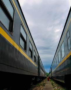 夏日绿皮车封面图