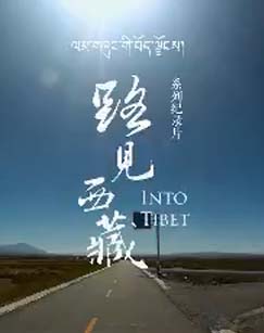 路见西藏封面图